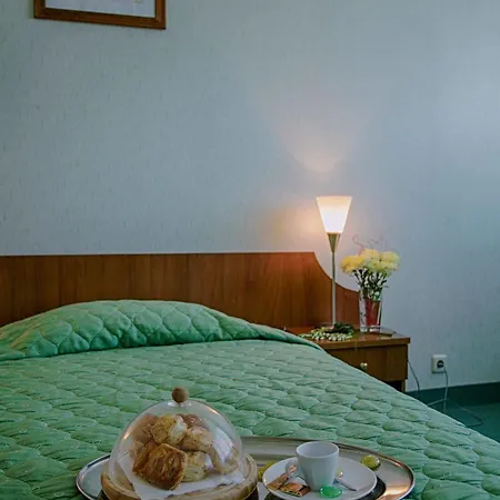 Hemus Hotel 3*